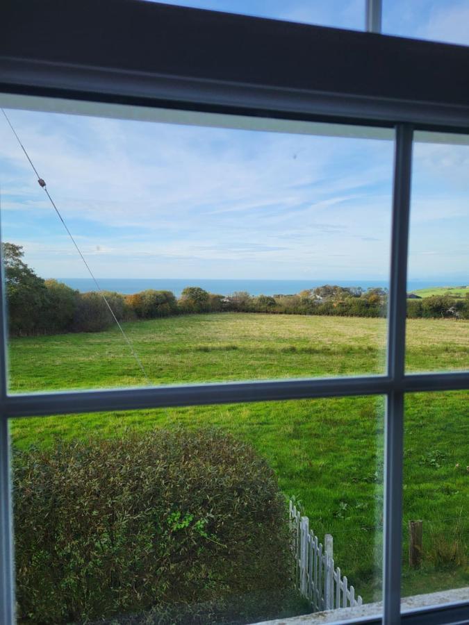 The Green Door Vegan B&B Llanon Εξωτερικό φωτογραφία